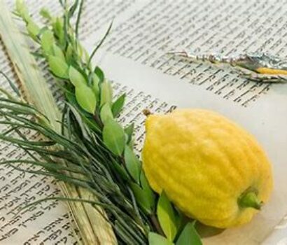 Lulav