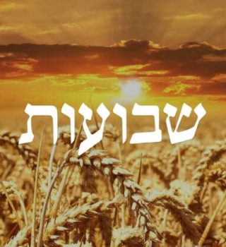 Tikkun Leil Shavuot - June 1st - See details in menu item above.