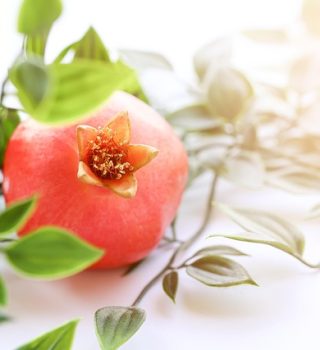 pomegranate 7439509_640