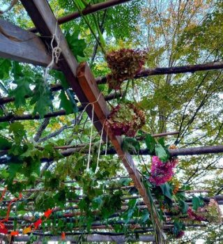 Sukkot 2023 1